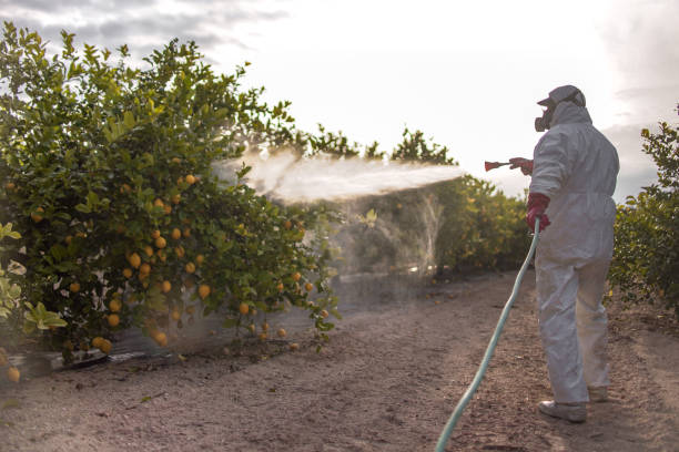 Best Local Pest Control Services  in Elizabeth, NJ