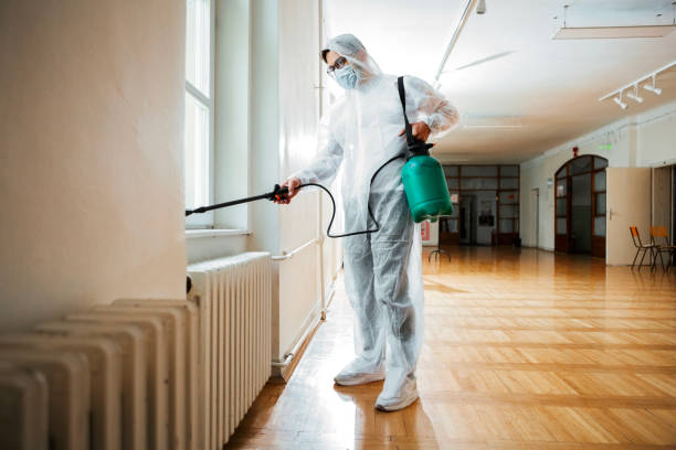 Reliable Elizabeth, NJ Pest Control Solutions