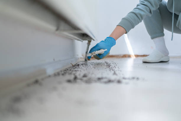 Best Pest Removal Services  in Elizabeth, NJ